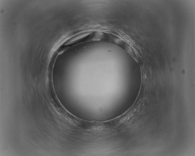 X0000073730344200608241302