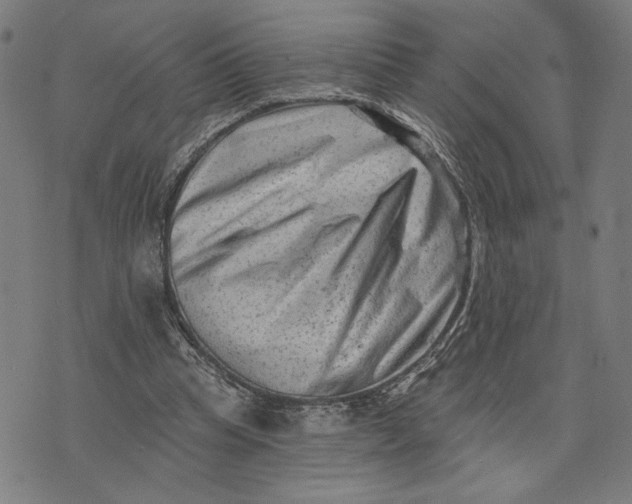 X0000073730345200608241302