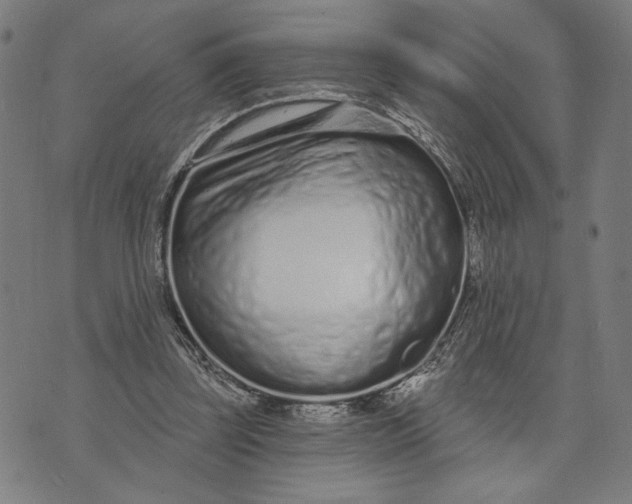 X0000073730347200608241302