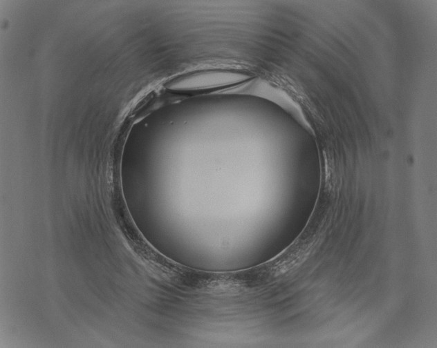 X0000073730348200608241302