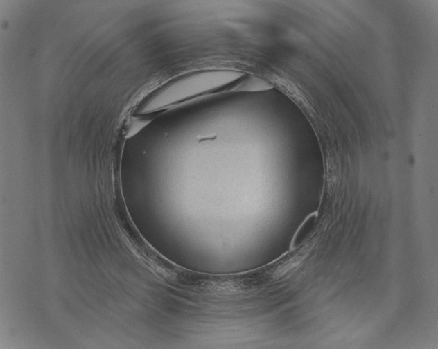 X0000073730349200608241302