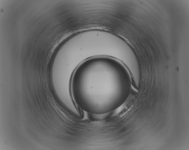 X0000073730350200608241302