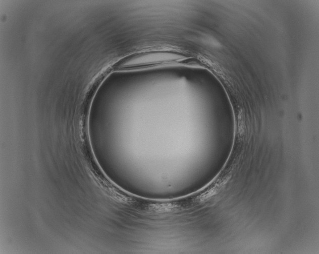 X0000073730351200608241302