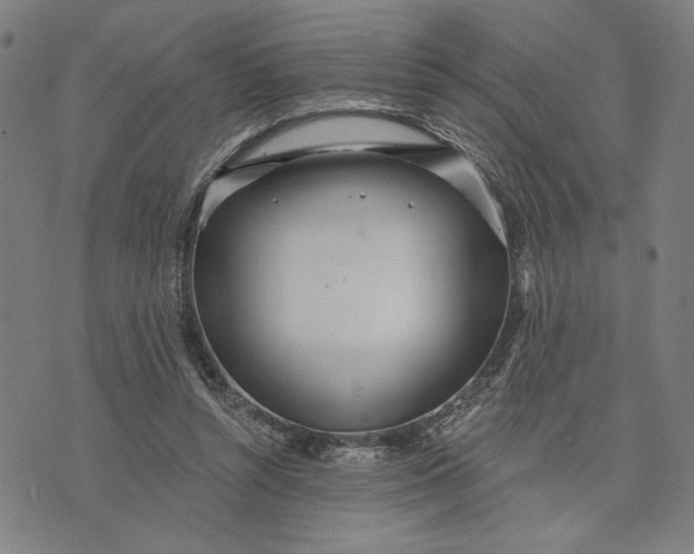 X0000073730352200608241302