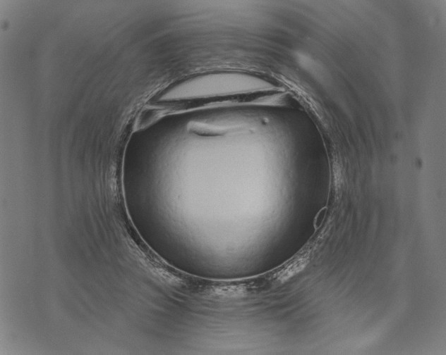 X0000073730353200608241302