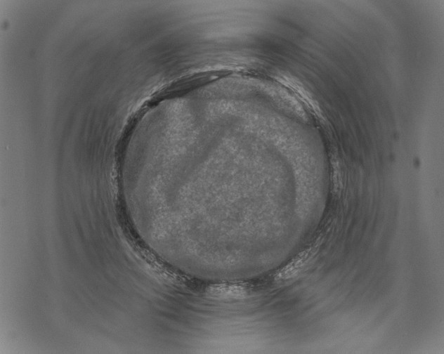 X0000073730354200608241302