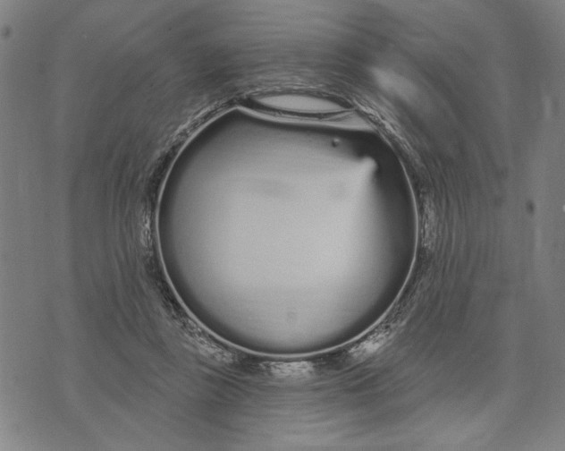 X0000073730355200608241302