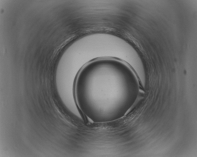 X0000073730356200608241302