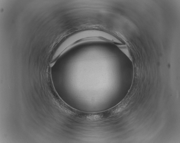 X0000073730357200608241302