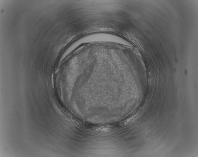 X0000073730358200608241302