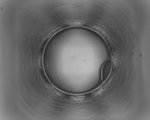 X0000073730359200608241302