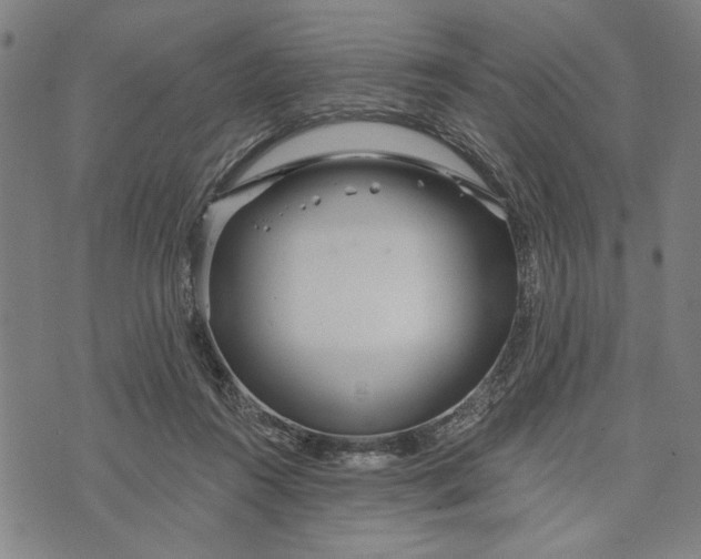 X0000073730360200608241302