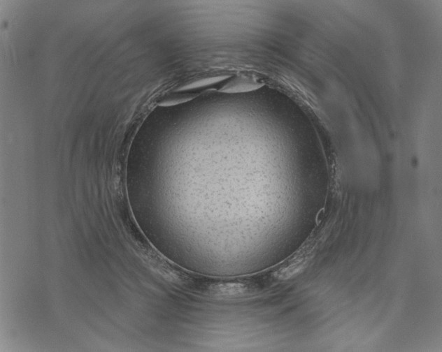 X0000073730361200608241302