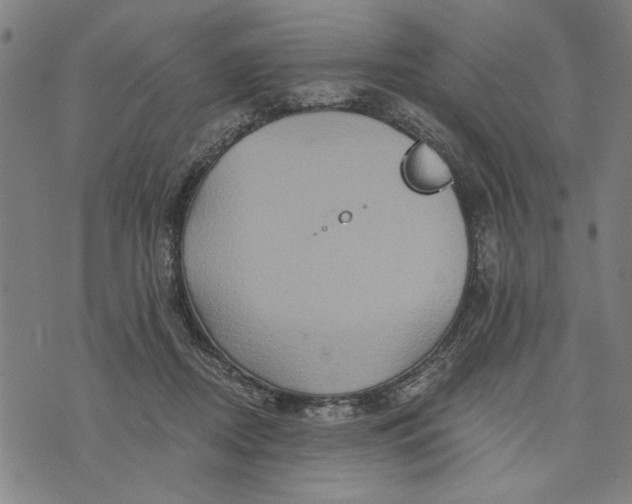 X0000073730362200608241302