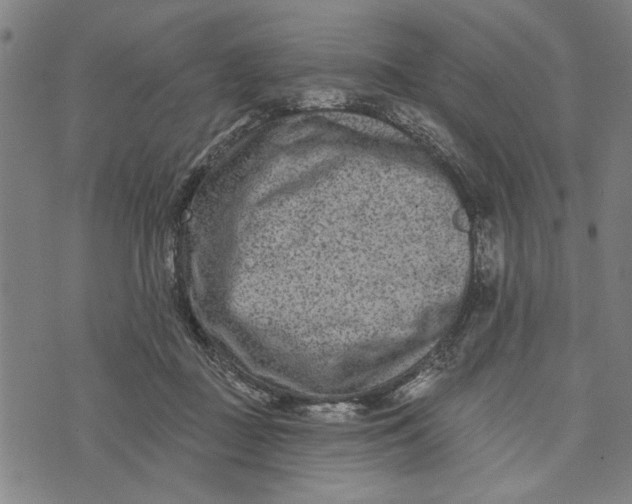 X0000073730363200608241302