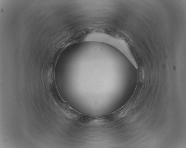 X0000073730364200608241303