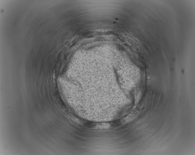 X0000073730369200608241303