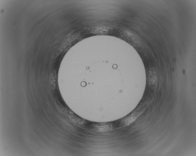 X0000073730370200608241303