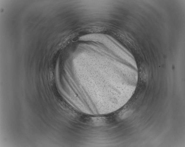 X0000073730371200608241303