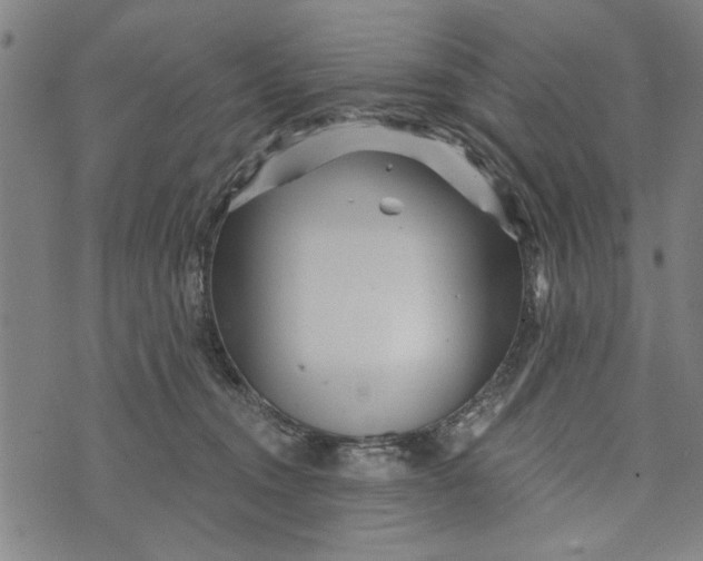 X0000073730372200608241303