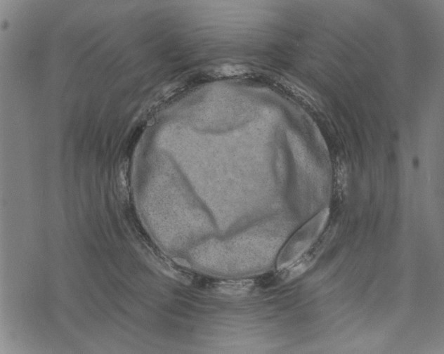 X0000073730373200608241303