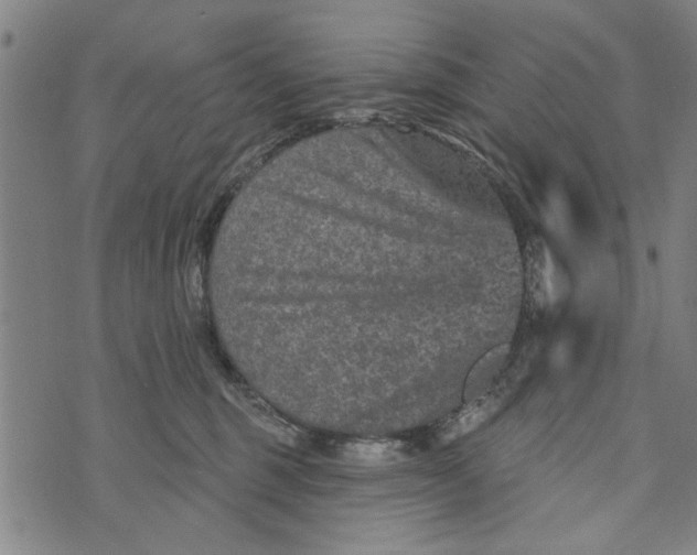 X0000073730375200608241303