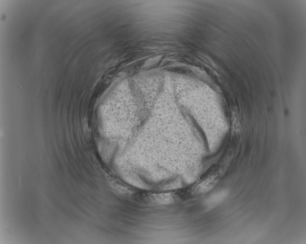 X0000073730377200608241303