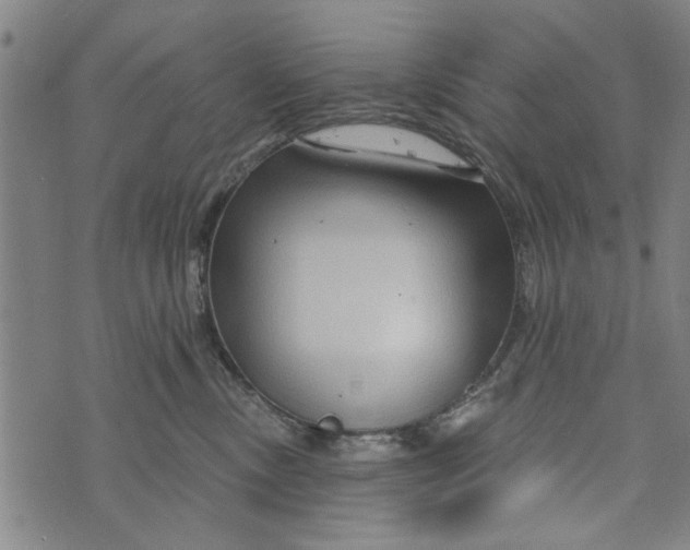 X0000073730378200608241303