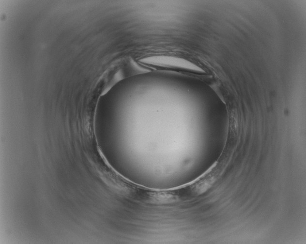 X0000073730380200608241303