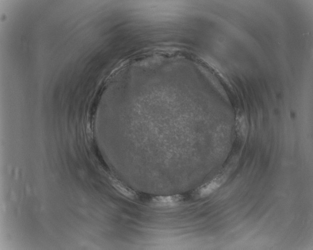 X0000073730381200608241303