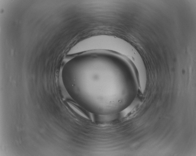 X0000073730382200608241303