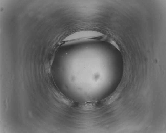 X0000073730384200608241303