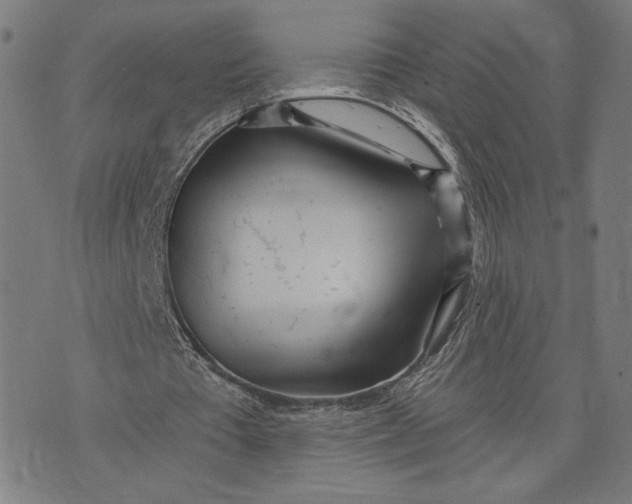 X0000073730385200608241302