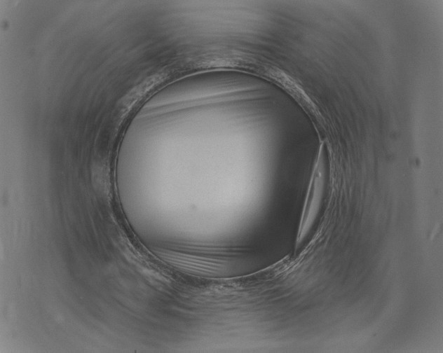 X0000073730386200608241302