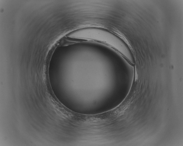 X0000073730387200608241302