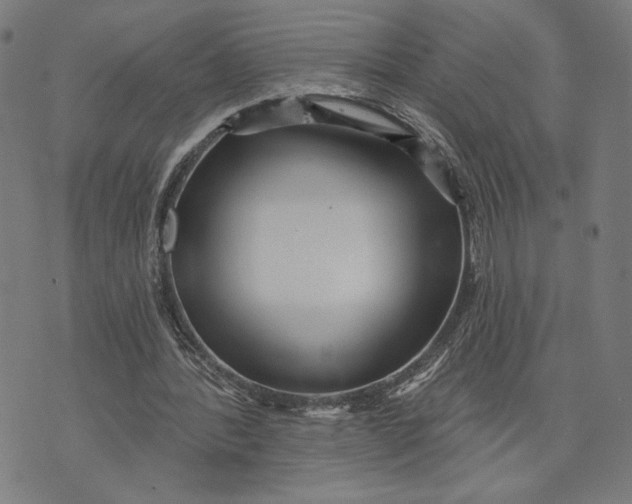 X0000073730388200608241302