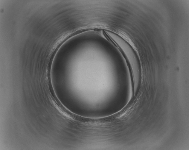 X0000073730389200608241302