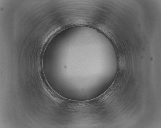 X0000073730390200608241302