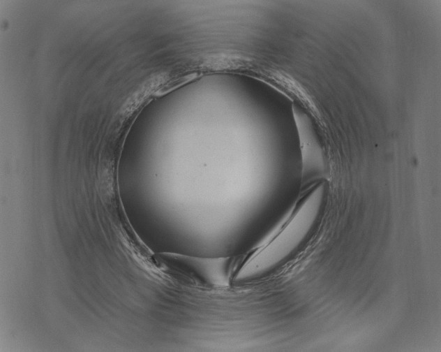 X0000073730393200608241302