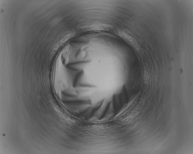 X0000073730394200608241302