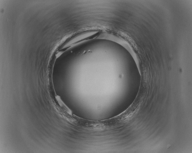 X0000073730395200608241302