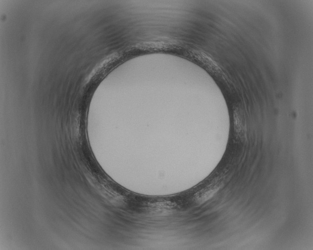 X0000073730396200608241302