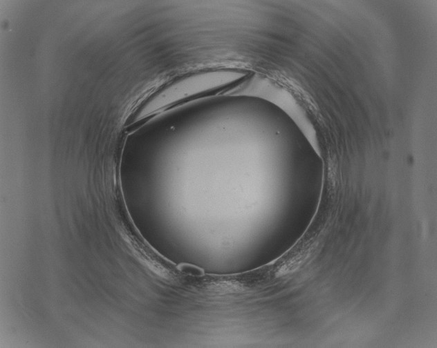 X0000073730397200608241302