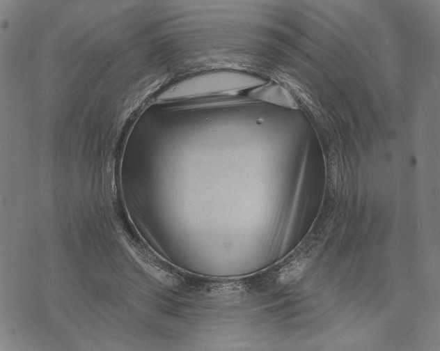 X0000073730398200608241302