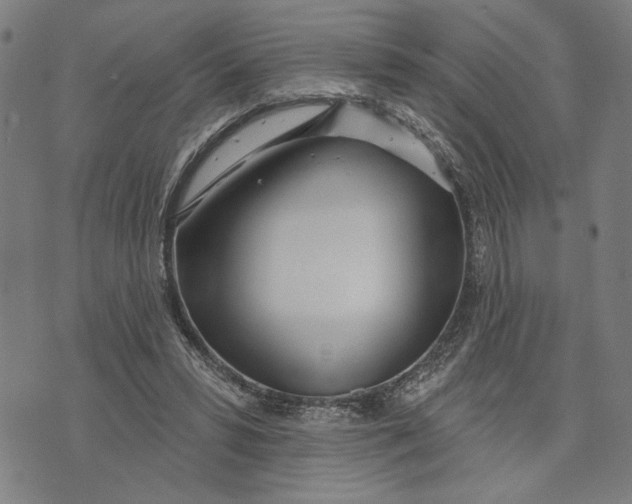 X0000073730399200608241302