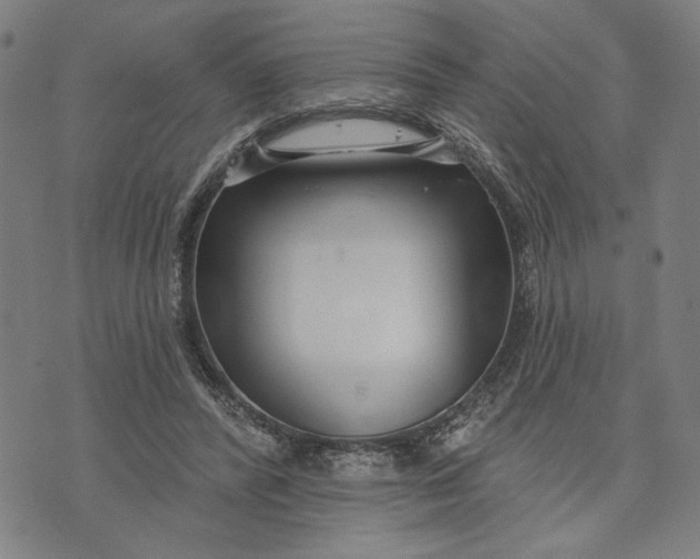 X0000073730400200608241302