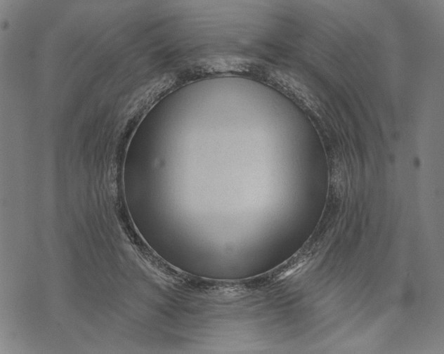 X0000073730402200608241302