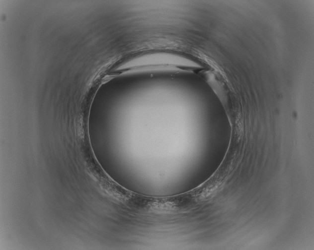 X0000073730403200608241302