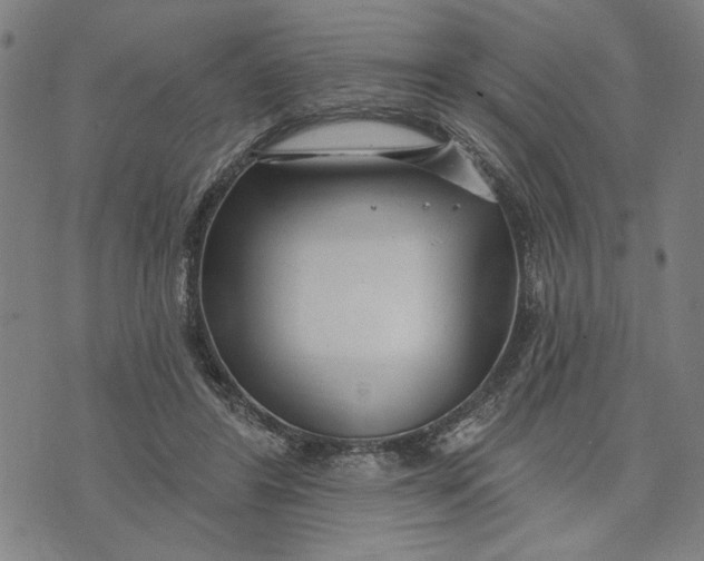 X0000073730404200608241302