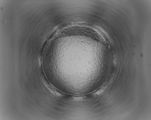 X0000073730405200608241302